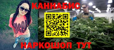 дмт Бийск