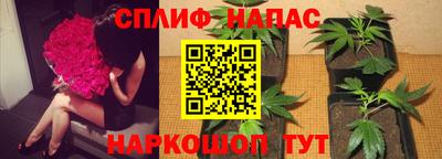 твердый Берёзовский